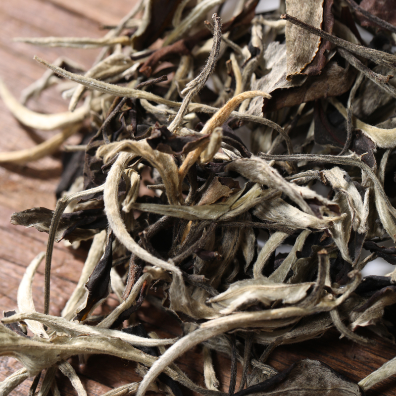 Jingmai Moonlight White Tea
