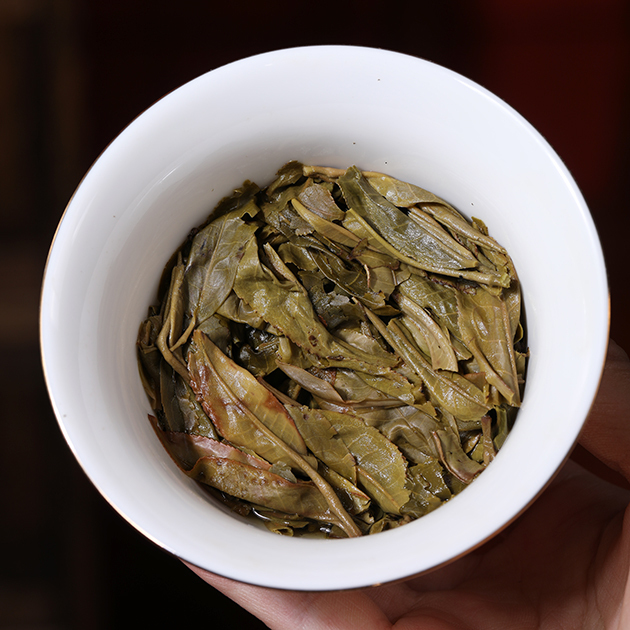 古树普洱
