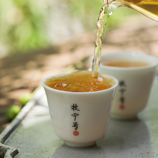 田野