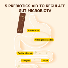 ACORN Delicious Fruit Prune Jelly Suck Fruity Aloe Vera Jelly Halal Slimming Gut health Low-Fat healthy snack food Jelly