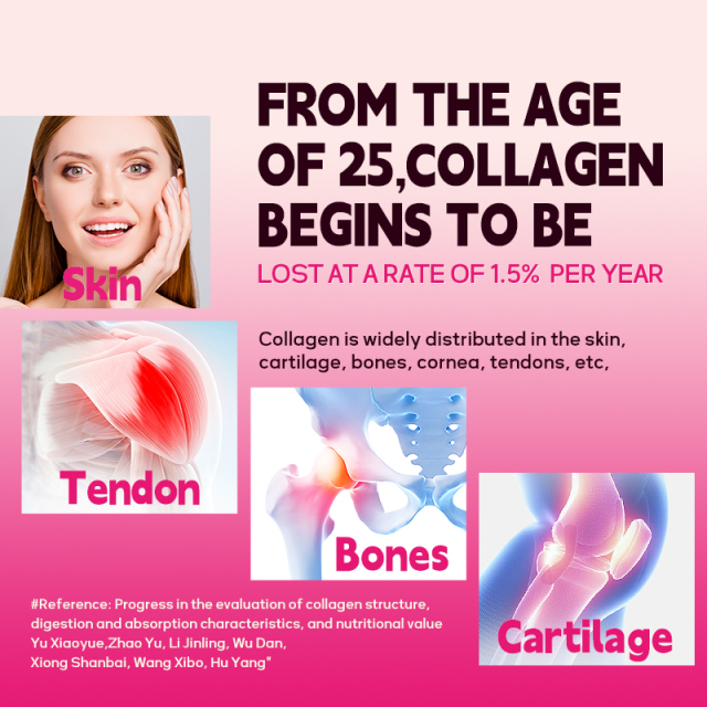 ACORN Collagen Peptides Powder Supplement for Women Beautiful Skin Hair Nails Bulk Supply Multi Collagen Peptides Powder