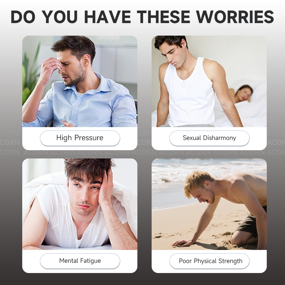 ACORN Shilajit Wholesale Supplement Manufacturers Ashwagandha Pure Shilajit Tablets