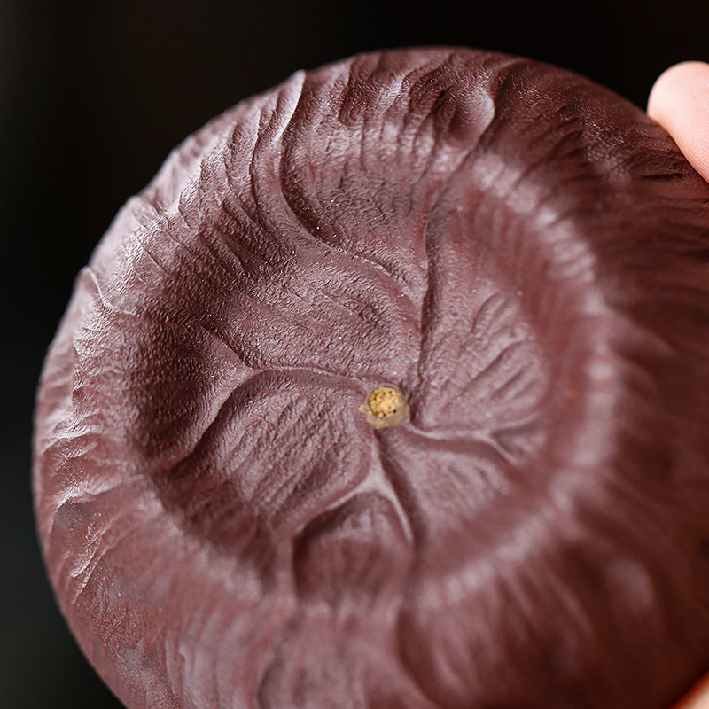 Famous Pot Autumn Moon Yixing Zisha Lianpeng Tea Filter Raw Ore Purple Clay Handmade Kungfu Tea Set Zisha Tea Filter