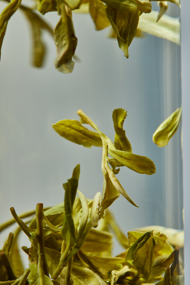 first picked west lake longjing tea 2024 shifeng best gree tea 250g