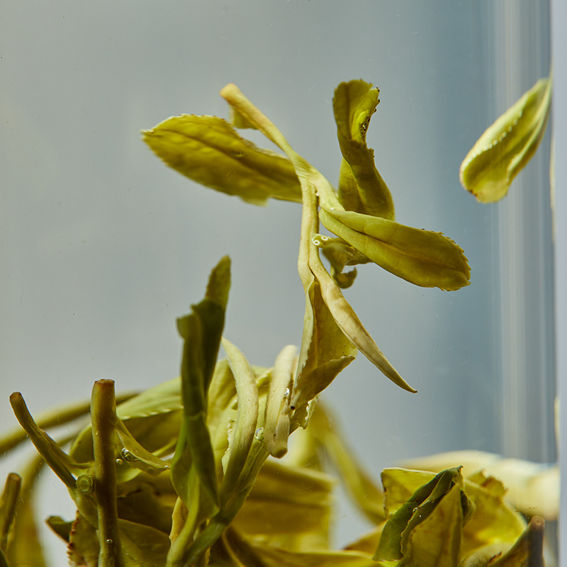 first picked west lake longjing tea 2024 shifeng best gree tea 250g