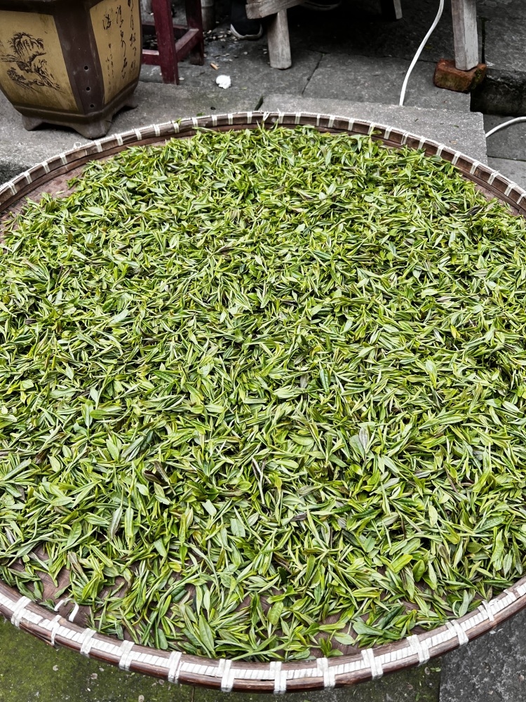 first picked west lake longjing tea 2024 shifeng best gree tea 250g