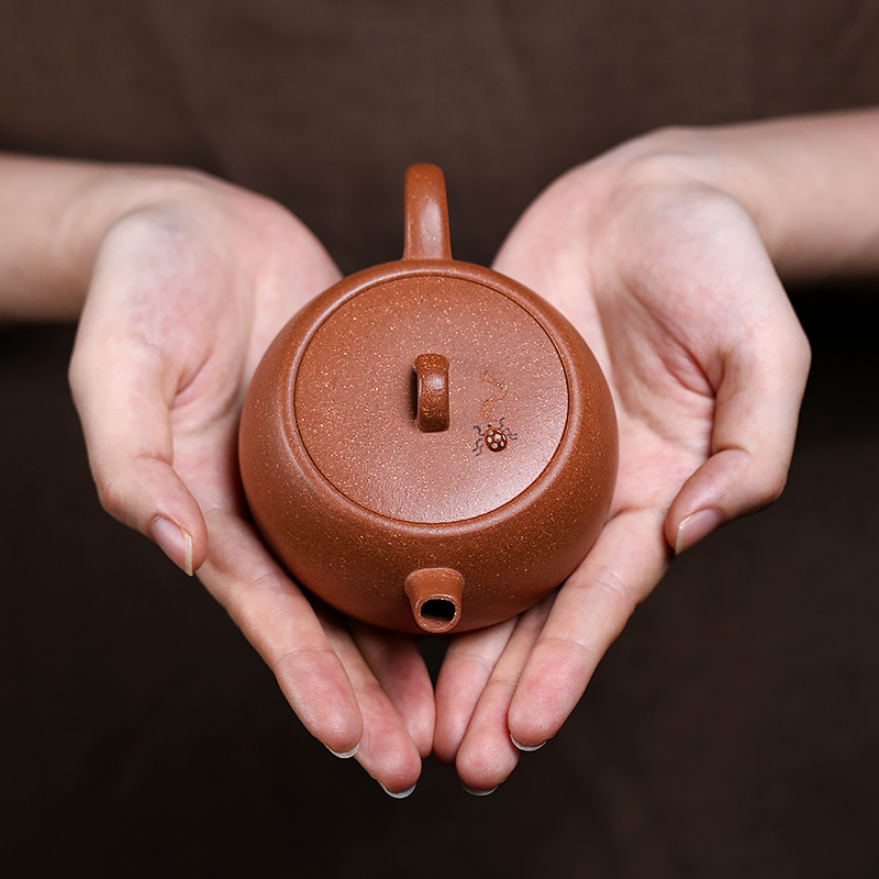 Yixing Purple Clay Teapot Handpicked Native Purple Chestnut Clay Fully Handcrafted by Xu Xueqiang Well Curb Teapot, 160ml