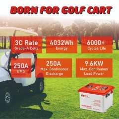 XRH 36V 105Ah Golf Cart Battery Steel