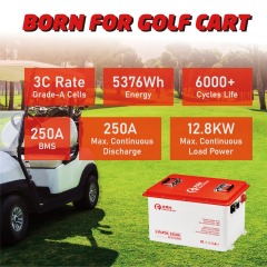 XRH 48V 105Ah Golf Cart Battery Steel