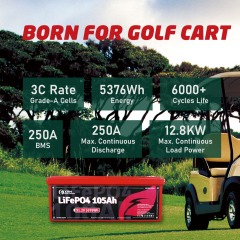 XRH 48V 105Ah Golf Cart Battery Plastic