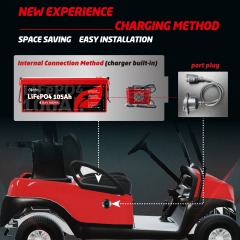 36V(38.4V) LiFePO4 Lithium Battery Built-in 250A BMS,with 36V 20A Lithium Battery Charger,Mobile APP,Touch Monitor,Port Plug,Retention Strap,6000+Cycles,Perfect for Golf Carts. (Plastic)