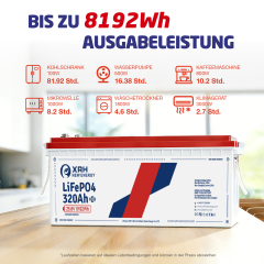 24 V 320 Ah LiFePO4 Lithium Battery with 200 A BMS Protection, Max. 8192 W Power, up to 15000 Cycles, 10 Year Life, Ideal AGM Battery Replacement for Motorhomes, Caravans and Solar Power Systems