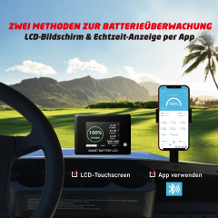 36V(38.4V) LiFePO4 Lithium Battery Built-in 250A BMS,with 36V 20A Lithium Battery Charger,Mobile APP,Touch Monitor,Port Plug,Retention strap,6000+Cycles,Perfect for Golf Carts.