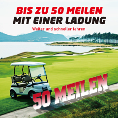 36V(38.4V) LiFePO4 Lithium Battery Built-in 250A BMS,with 36V 20A Lithium Battery Charger,Mobile APP,Touch Monitor,Port Plug,Retention strap,6000+Cycles,Perfect for Golf Carts.