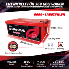 36V(38.4V) LiFePO4 Lithium Battery Built-in 250A BMS,with 36V 20A Lithium Battery Charger,Mobile APP,Touch Monitor,Port Plug,Retention strap,6000+Cycles,Perfect for Golf Carts.