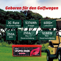 48V (51.2V) LiFePO4 Golf Cart Battery, Built-in 250A BMS, 48V 20A Lithium Charger, Mobile App & Touchscreen Monitor, Port Plug & Tether, 6000+ Cycles, Ideal for Golf Carts