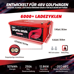48V (51.2V) LiFePO4 Golf Cart Battery, Built-in 250A BMS, 48V 20A Lithium Charger, Mobile App & Touchscreen Monitor, Port Plug & Tether, 6000+ Cycles, Ideal for Golf Carts