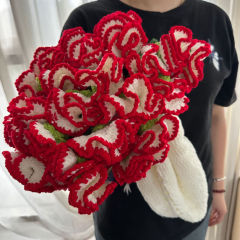 Œillet rouge dégradé - Couverture sur fond blanc