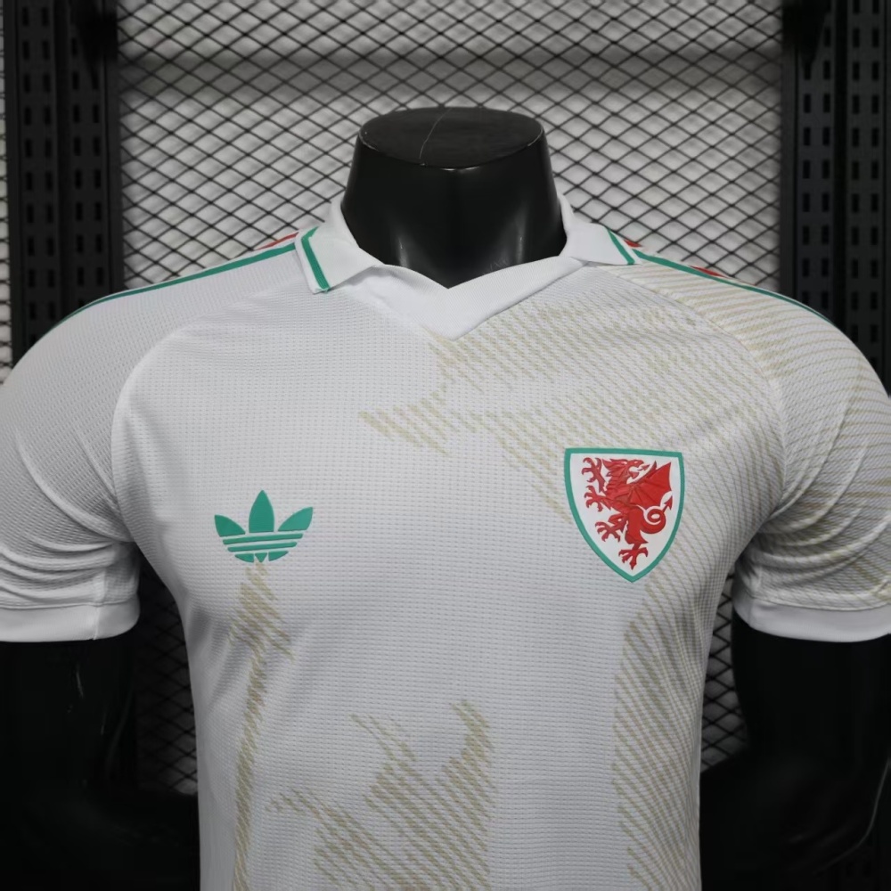2026 Wales World Cup Away Football jersey Player edition