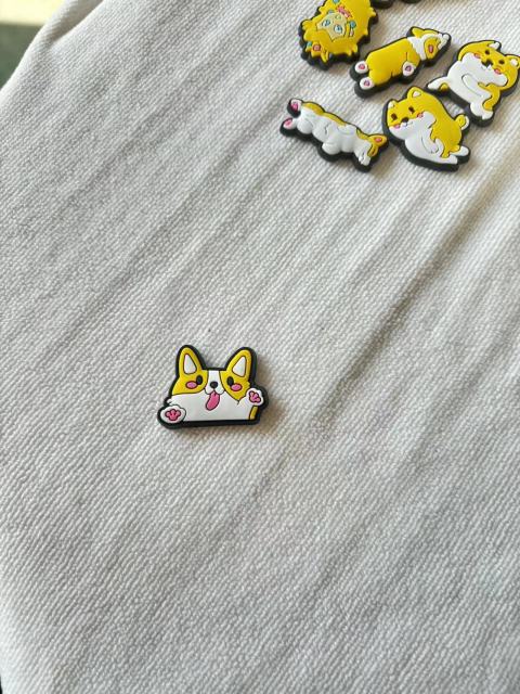Cute corgi