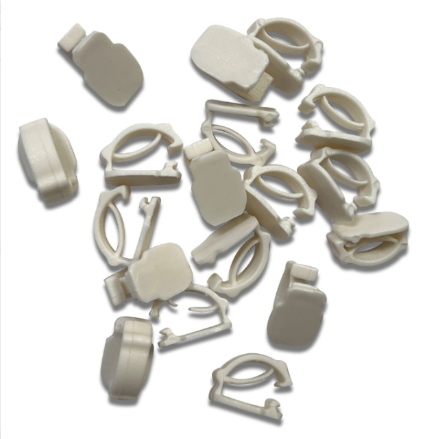 white shoe buckle