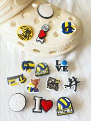 charm of volleyball series