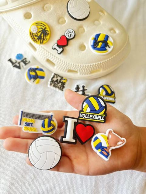 charm of volleyball series