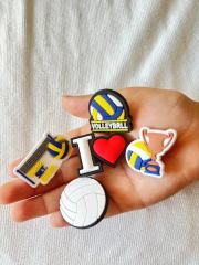 charm of volleyball series
