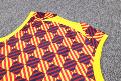 23-24 season Barcelona yellow training vest