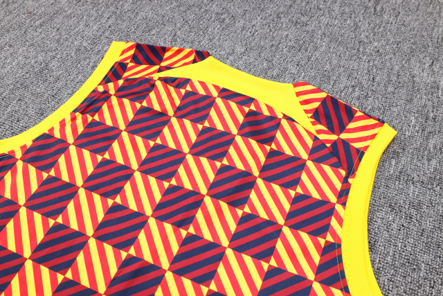 23-24 season Barcelona yellow training vest