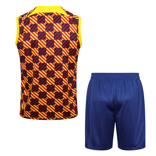 23-24 season Barcelona yellow training vest