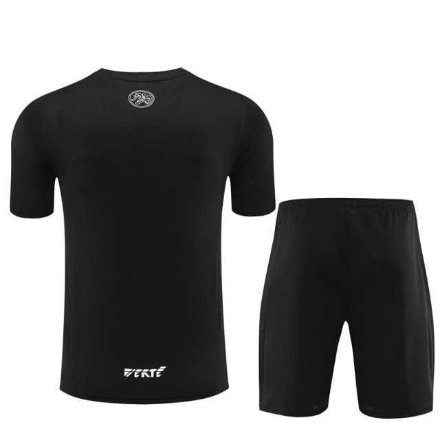 23-24 Algeria training short sleeves