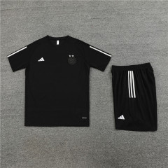 23-24 Algeria training short sleeves