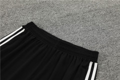 23-24 Algeria training short sleeves