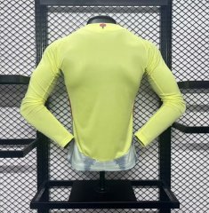 Spain 2024-25 Euro Away Long Sleeves Jersey  Player Version