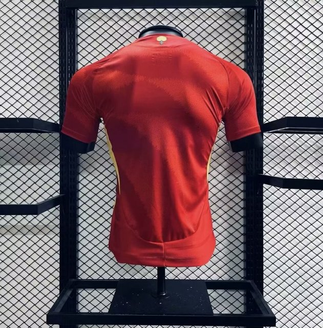 Spain 2024-25 Euro Home Jersey Player Version