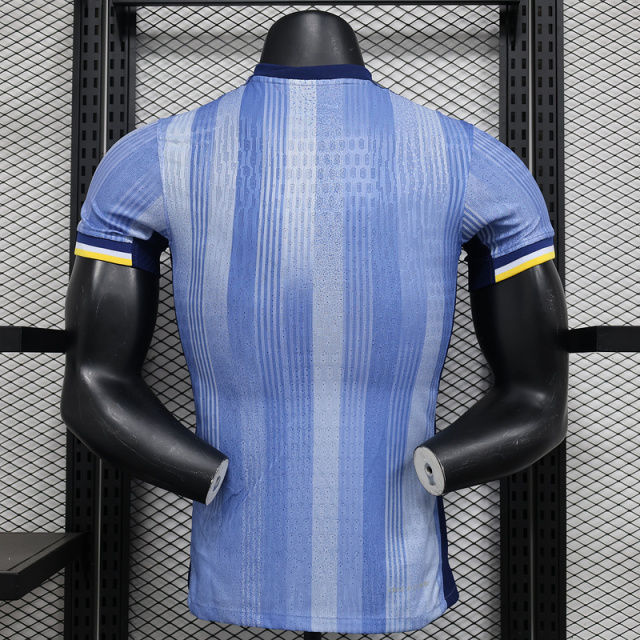 Player 2024-25 Tottenham II  Football jersey