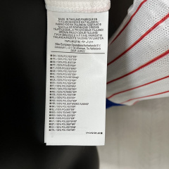 2024-25 France Player Long Sleeve Football jersey