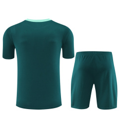 2024-25 Tottenham Short-sleeved training clothese