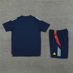 2024-25 Spain Short-sleeved training clothese