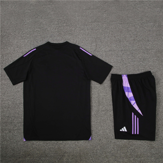 2024-25 Germany Short-sleeved training clothese
