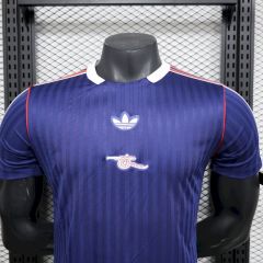 Player 2025-26 Arsenal Terrace Icons Football jersey