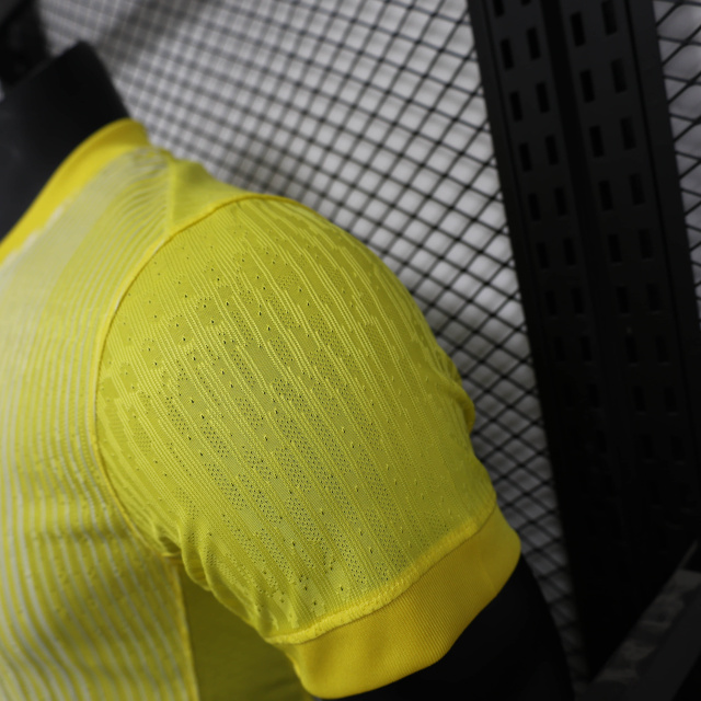 Player 2025-26 France Leaked Goalkeeper Football jersey
