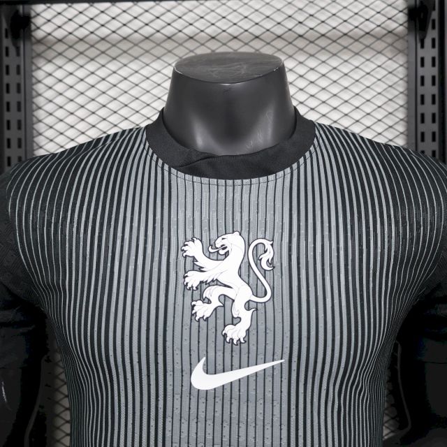 Player 2025-26 Netherlands Leaked Goalkeeper Football jersey