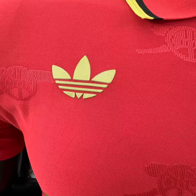 Player 2025-26 Arsenal Special Edition Football jersey