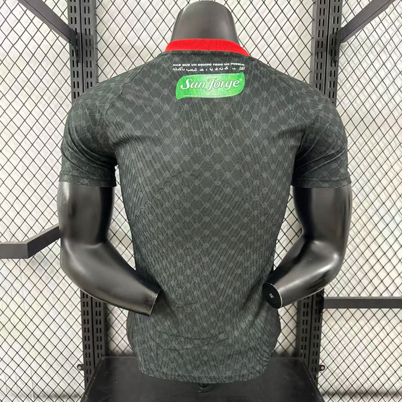 Player 2025-26 Palestine Away Football jersey