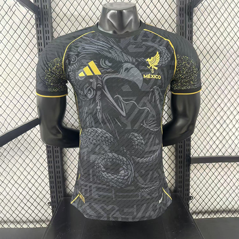 Player 2025-26 Mexico Special Edition Football jersey