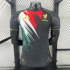 Player 2025-26 Mexico Special Edition Football jersey