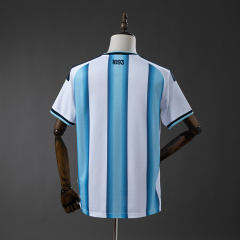2026 World Cup Argentina home kit, number 10, Messi fan version