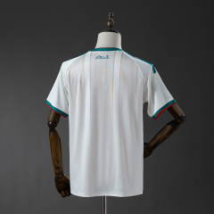 2026 World Cup Algeria Home Fan version Jersey S-4XL
